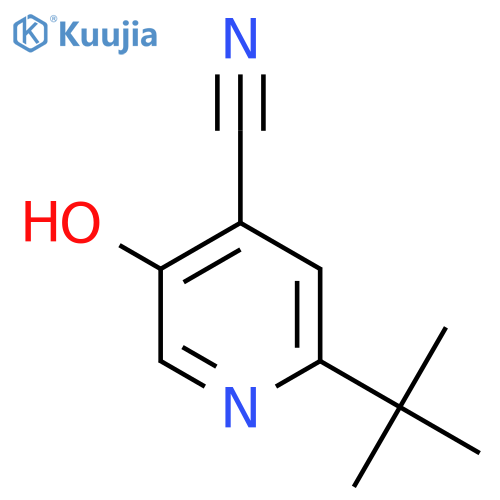 2-tert-butyl-5-hydroxyisonicotinonitrile structure