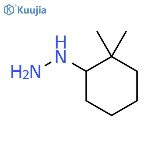 (2,2-Dimethylcyclohexyl)hydrazine structure