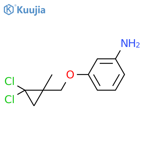 BENZENAMINE, 3-[(2,2-DICHLORO-1-METHYLCYCLOPROPYL)METHOXY]- structure