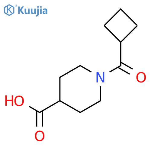 1-(cyclobutylcarbonyl)piperidine-4-carboxylic Acid structure