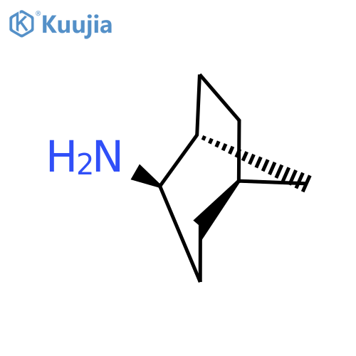 rac-(1R,2R,5R)-bicyclo3.2.1octan-2-amine structure