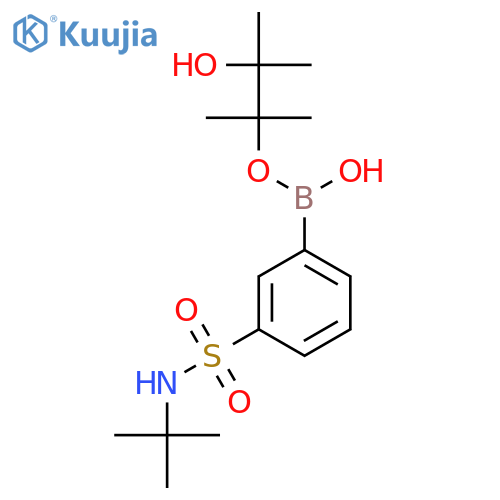 3-[N-(Tert-Butyl)sulfamoyl]phenylboronic Acid Pinacol Ester structure