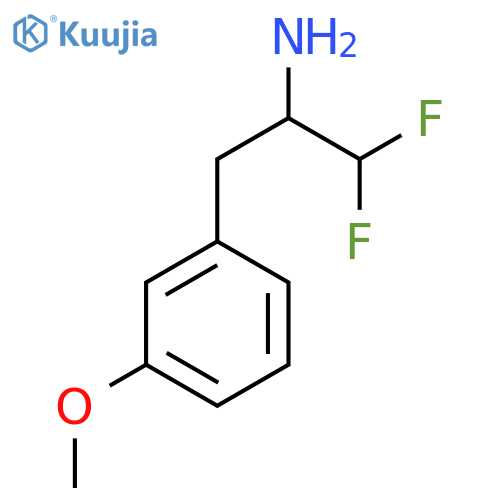 1,1-difluoro-3-(3-methoxyphenyl)propan-2-amine structure