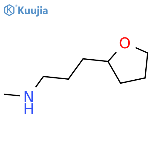 N-Methyl-3-(tetrahydrofuran-2-yl)propan-1-amine structure
