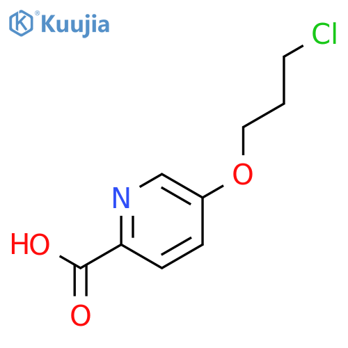 5-(3-chloropropoxy)pyridine-2-carboxylic acid structure
