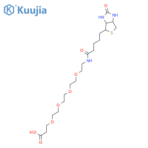 Biotin-PEG4-Acid structure