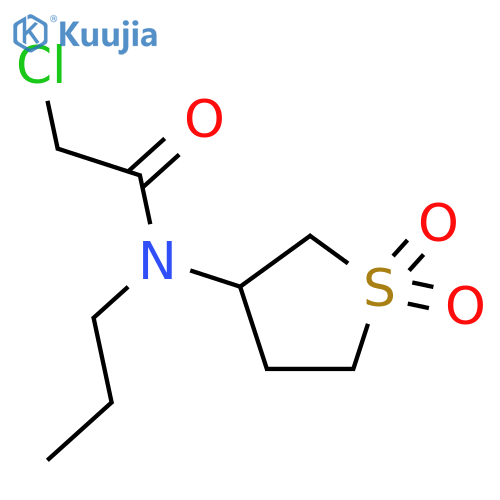 2-chloro-N-(1,1-dioxo-1λ?-thiolan-3-yl)-N-propylacetamide structure