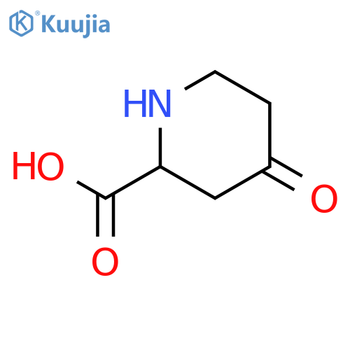 4-oxopiperidine-2-carboxylic acid structure