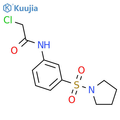 2-Chloro-N-3-(Pyrrolidine-1-Sulfonyl)PhenylAcetamide structure