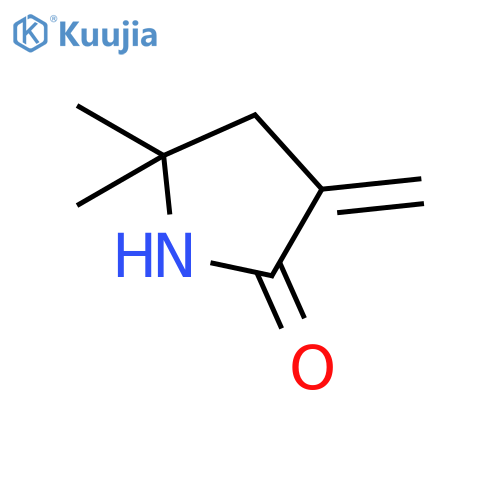 2-Pyrrolidinone, 5,5-dimethyl-3-methylene- structure