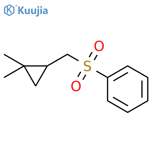 Benzene, [[(2,2-dimethylcyclopropyl)methyl]sulfonyl]- structure