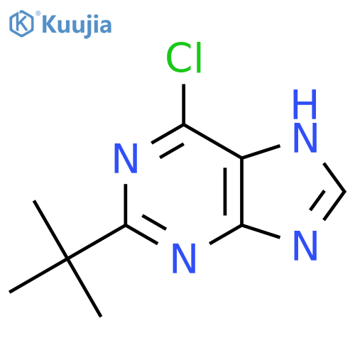 2-Tert-butyl-6-chloro-9H-purine structure