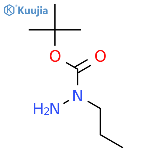 N-propyl(tert-butoxy)carbohydrazide structure