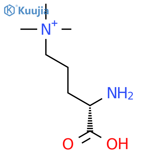 Poly(N(delta),N(delta),N(delta)-trimethylornithine) structure