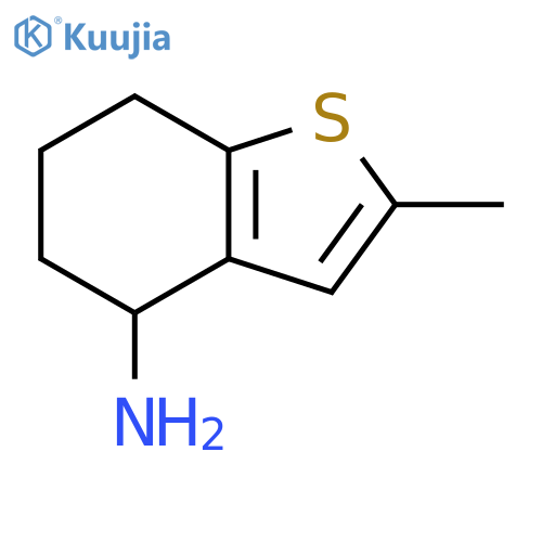 2-methyl-4,5,6,7-tetrahydro-1-benzothiophen-4-amine structure