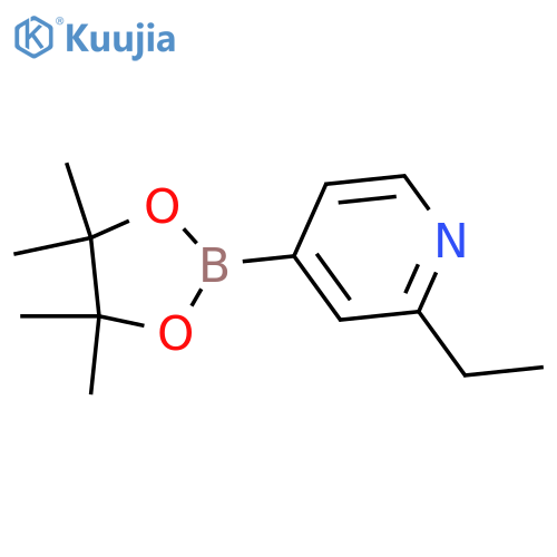 2-ethyl-4-(tetramethyl-1,3,2-dioxaborolan-2-yl)pyridine structure
