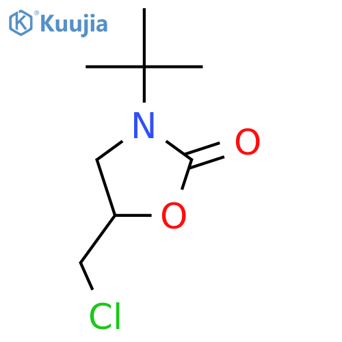 2-Oxazolidinone, 5-(chloromethyl)-3-(1,1-dimethylethyl)- structure