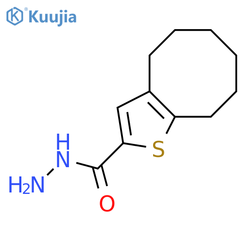 4H,5H,6H,7H,8H,9H-cyclooctabthiophene-2-carbohydrazide structure