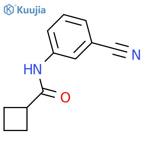 N-(3-cyanophenyl)cyclobutanecarboxamide structure