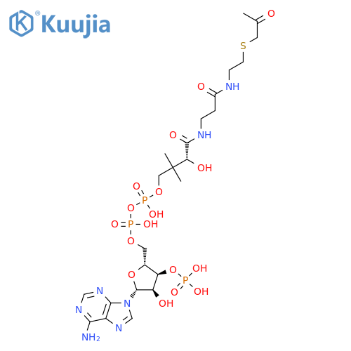 Coenzyme A, S-(2-oxopropyl)- structure
