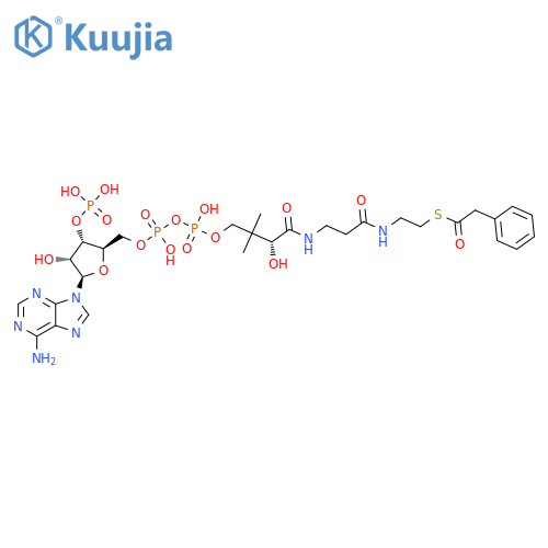Phenylacetyl CoA structure