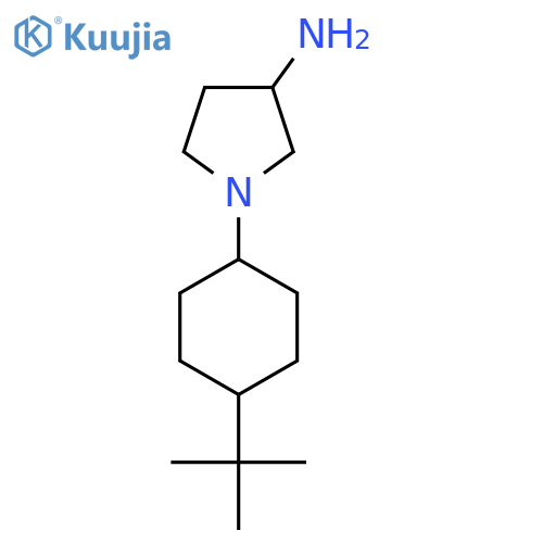 1-(4-(Tert-butyl)cyclohexyl)pyrrolidin-3-amine structure