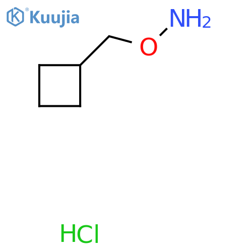 O-(cyclobutylmethyl)hydroxylamine hydrochloride structure