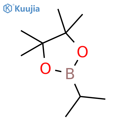 4,4,5,5-tetramethyl-2-(propan-2-yl)-1,3,2-dioxaborolane structure