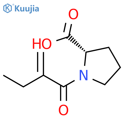 L-PROLINE, 1-(2-METHYLENE-1-OXOBUTYL)- structure