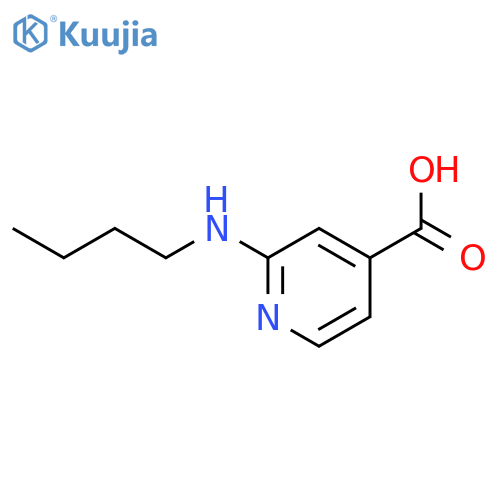 2-(Butylamino)isonicotinic acid structure