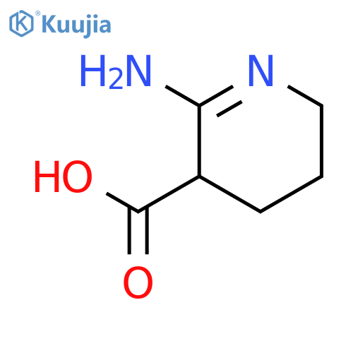 2-amino-3,4,5,6-tetrahydropyridine-3-carboxylic acid structure