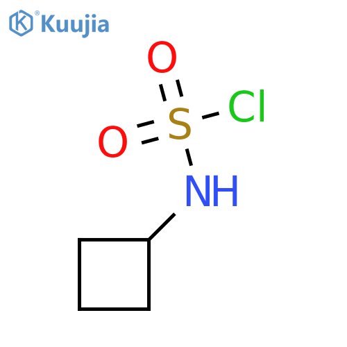 N-cyclobutylsulfamoyl chloride structure