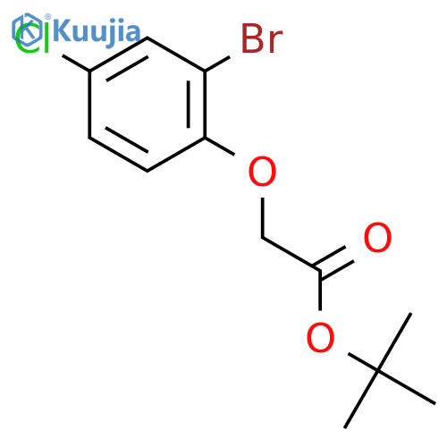 tert-butyl (2-bromo-4-chlorophenoxy)acetate structure