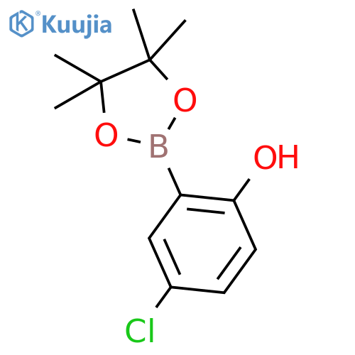 4-chloro-2-(4,4,5,5-tetramethyl-1,3,2-dioxaborolan-2-yl)phenol structure