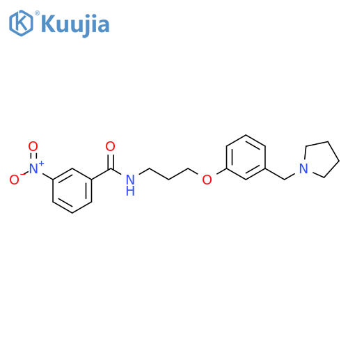 Benzamide, 3-nitro-N-[3-[3-(1-pyrrolidinylmethyl)phenoxy]propyl]- structure