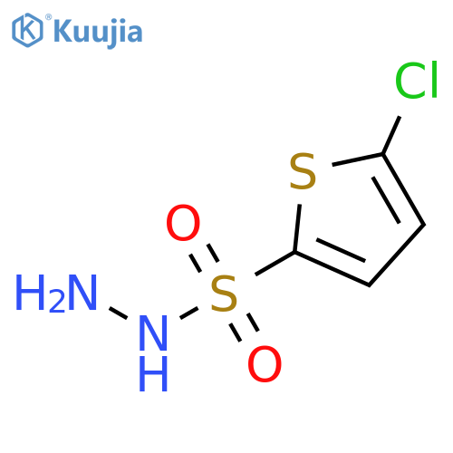 2-Thiophenesulfonicacid, 5-chloro-, hydrazide structure