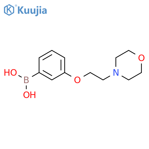 {3-[2-(morpholin-4-yl)ethoxy]phenyl}boronic acid structure