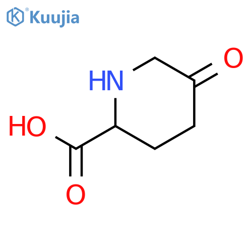 5-oxopiperidine-2-carboxylic acid structure