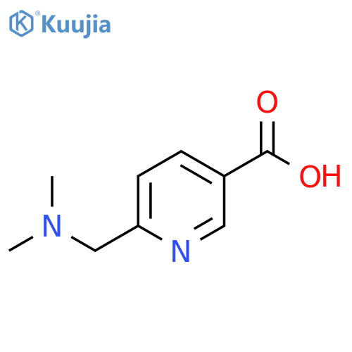 6-[(dimethylamino)methyl]pyridine-3-carboxylic acid structure