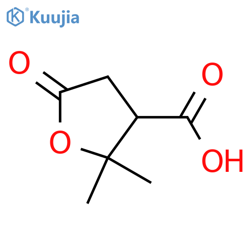 2,2-dimethyl-5-oxooxolane-3-carboxylic acid structure
