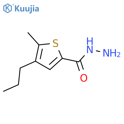 5-methyl-4-propylthiophene-2-carbohydrazide structure