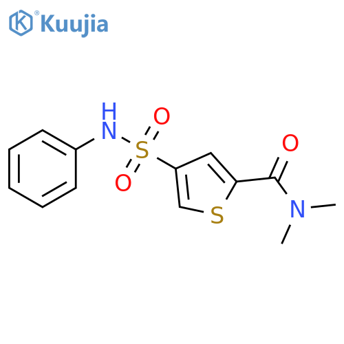 2-Thiophenecarboxamide, N,N-dimethyl-4-[(phenylamino)sulfonyl]- structure