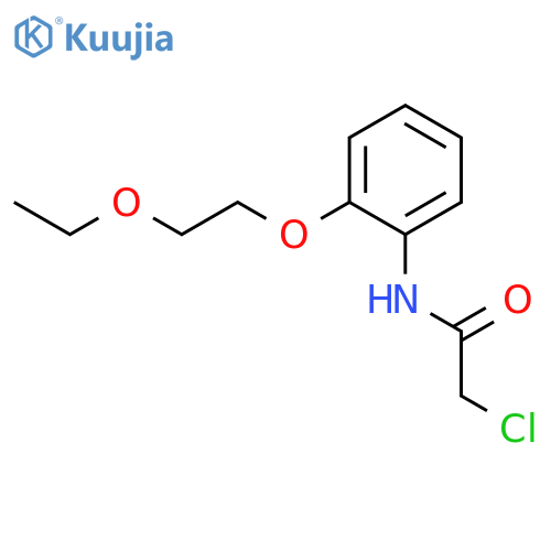 ACETAMIDE, 2-CHLORO-N-[2-(2-ETHOXYETHOXY)PHENYL]- structure