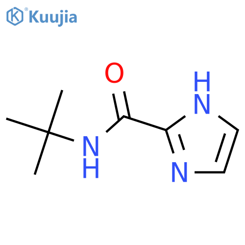 N-(1,1-dimethylethyl)-1H-Imidazole-2-carboxamide structure