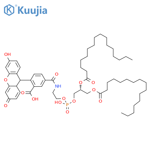 18:1 PE CF structure