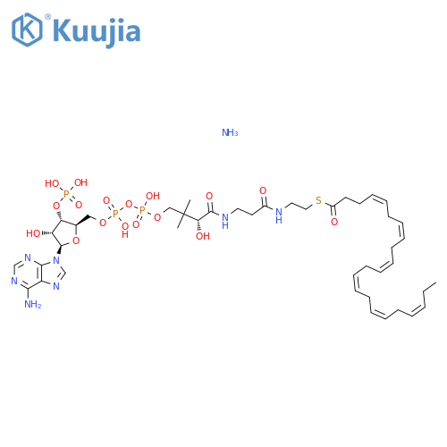 22:6 Coenzyme A structure