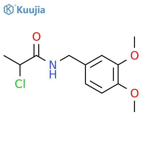 2-Chloro-N-(3,4-Dimethoxyphenyl)MethylPropanamide structure