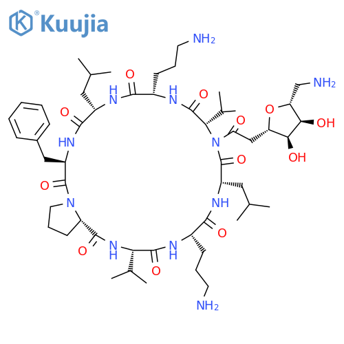 CYCLO(7-AMINO-3,6-ANHYDRO-2,7-DIDEOXY-D-ALLO-HEPTONOYL-L-VALYL-L-ORNITHYL-L-LEUCYL-D-PHENYLALANYL-L-PROLYL-L-VALYL-L-ORNITHYL-L-LEUCYL) structure