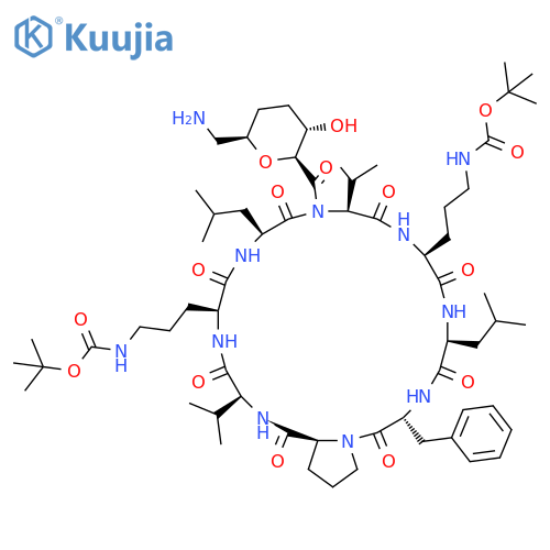 CYCLO[7-AMINO-2,6-ANHYDRO-4,5,7-TRIDEOXY-L-RIBO-HEPTONOYL-L-VALYL-N5-[(1,1-DIMETHYLETHOXY)CARBONYL]-L-ORNITHYL-L-LEUCYL-D-PHENYLALANYL-L-PROLYL-L-VALYL-N5-[(1,1-DIMETHYLETHOXY)CARBONYL]-L-ORNITHYL-L-LEUCYL] structure