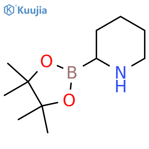 2-(tetramethyl-1,3,2-dioxaborolan-2-yl)piperidine structure